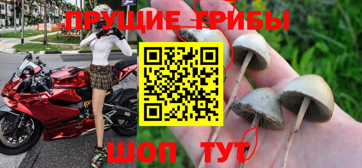 Галлюциногенные грибы мицелий  Галлюциногенные грибы GOLDEN TEACHER  Кемерово  Вход с VPN 